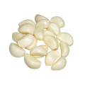 Wholesale Organic Peeled Garlic